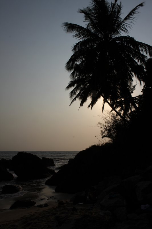 India 2010 - Kerala - Kannur - Costa Malabari - Costa Malabari Beach